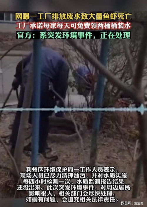 揭秘谣言，屠宰场排污水致鱼虾死亡？